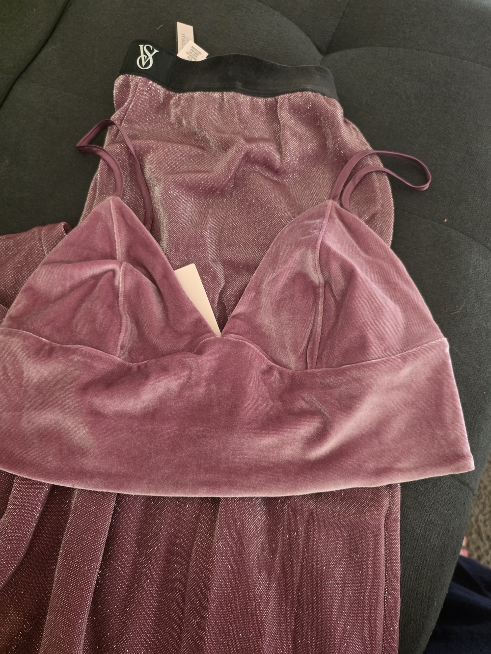 Victoria's Secret Velvet Bralette and Shimmer Shear Pants